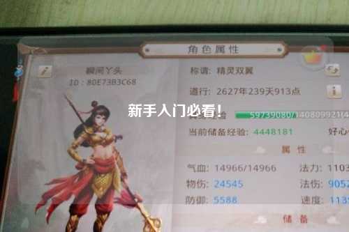 新手入门必看!