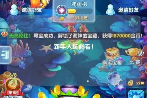 新手入坑必看!