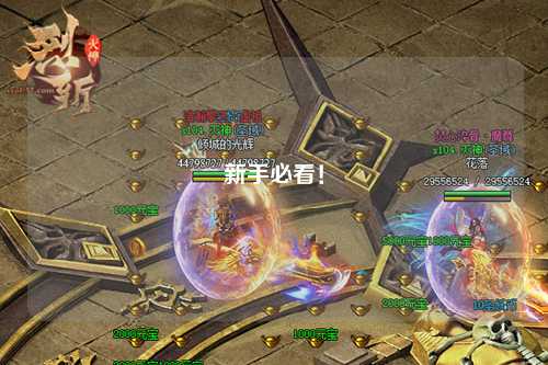 新手必看!